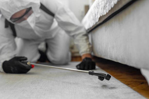 Professional Bed Bug Control technician working in Creek County County, OK
